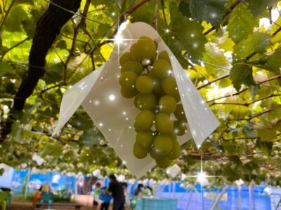 t 54 400x300 - 9月3日◎toiro本郷台◎