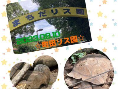 t 94 400x300 - ☆9月10日（土）toiro日野☆