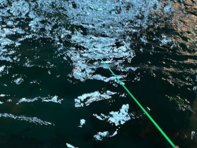 ⭐︎toiro瀬谷⭐︎2023/09/23 「釣って見つける冒険の国へ行こう」 t 3 400x300 - ⭐︎toiro瀬谷⭐︎2023/09/23 「釣って見つける冒険の国へ行こう」