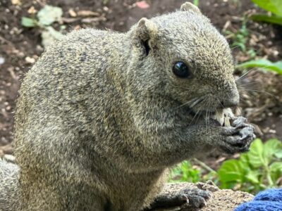 t 56 400x300 - 2023/10/01✴︎toiroいずみ中央