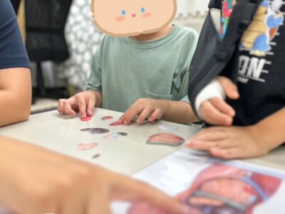 2023.10.3♪toiro相模原第3教室♪『人体模型パズル』 t 62 400x300 - 2023.10.3♪toiro相模原第3教室♪『人体模型パズル』