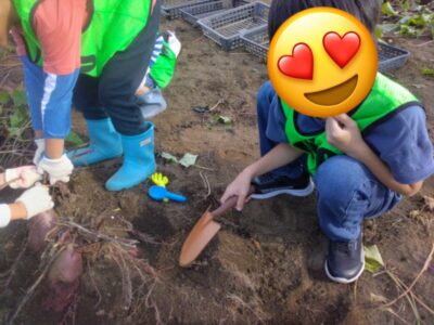 11月5日(日)『さつまいも掘り』 t 12 400x300 - 11月5日(日)『さつまいも掘り』