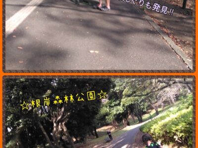 ♪toiro白楽♪【秋のお面をつくろう!】2023年11月14日(火) t 123 400x300 - ♪toiro白楽♪【秋のお面をつくろう!】2023年11月14日(火)