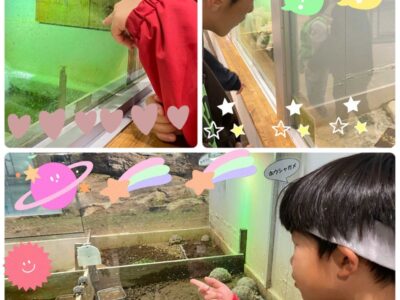 t 158 400x300 - 野毛山動物園へ行こう！★toiro仲町台★