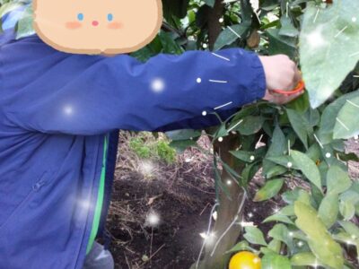 t 184 400x300 - 11月21日(火)　☆toiro三浦海岸☆　みかん狩り