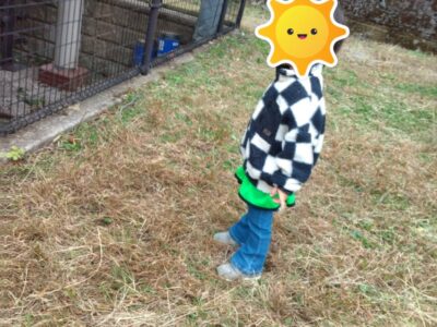 t 226 400x300 - ☆toiro開成☆11月25日☆第2教室