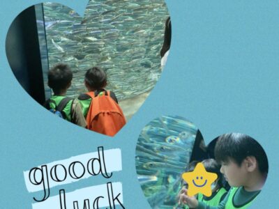 t 27 400x300 - サンシャイン水族館★toiro仲町台★