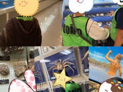 t 36 400x300 - toiro大津　☆11月3日☆『自然•人文博物館』