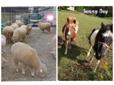 2023/11/07 ★toiro いずみ中央★ t 57 400x300 - 2023/11/07 ★toiro いずみ中央★