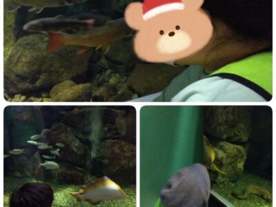 toiro用田2023年12月17日アクアリウム相模原に行こう! t 163 400x300 - toiro用田2023年12月17日アクアリウム相模原に行こう!