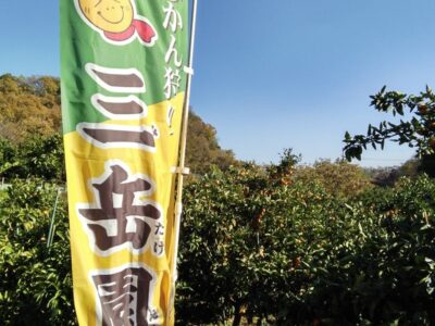 t 20 400x300 - 12月6日（水）　☆toiro本厚木☆