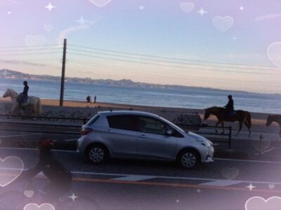 t 223 400x300 - 12月25日(月) toiro三浦海岸 ☆金沢自然動物園☆