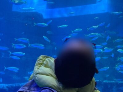 t 147 400x300 - 2024年1月14日(日)☆toiro西谷☆『八景島シーパラダイスに行こう！』￼