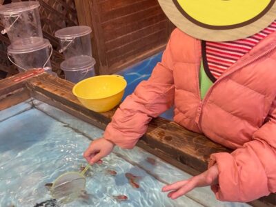 t 239 400x300 - 1月22日toiro逗子☆湘南釣り堀