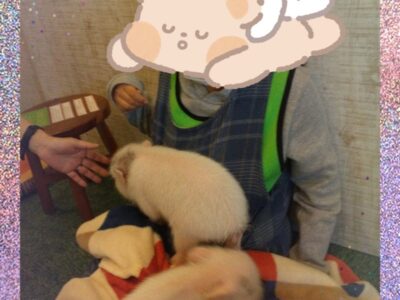 t 95 400x300 - 1月12日(金) toiro三浦海岸 ☆アニマルカフェ☆