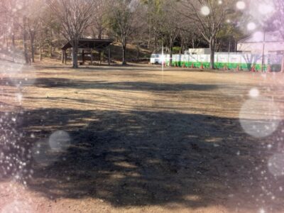 t 102 400x300 - ⭐︎toiro大船　2月10日（土）舞岡公園⭐︎