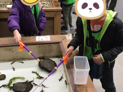 toiro都筑ふれあいの丘★横浜釣り堀王国へおでかけ★ t 161 400x300 - toiro都筑ふれあいの丘★横浜釣り堀王国へおでかけ★