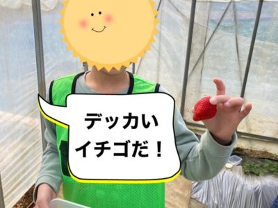t 197 400x300 - toiro 大津　2月18日（日）☆いちご狩り☆