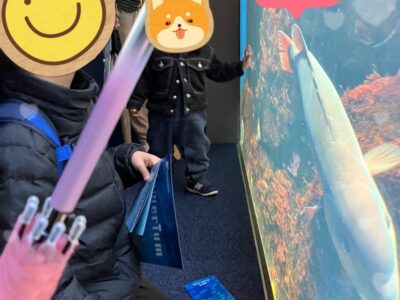 t 242 400x300 - toiro南林間　第一教室　2/25