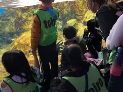 ☆2月17日Sat.☆toiro茅ヶ崎☆ t 248 400x300 - ☆2月17日Sat.☆toiro茅ヶ崎☆