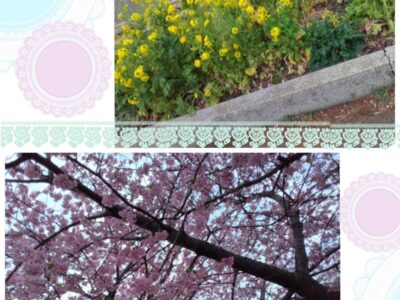 t 258 400x300 - 2月28日(水) toiro三浦海岸 ❀公園遊び❀