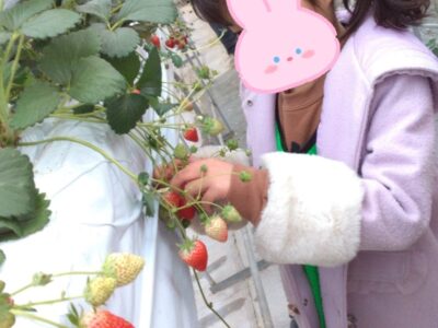 【toiro宮前平】2/28(水)いちご狩りへ行こう★ t 261 400x300 - 【toiro宮前平】2/28(水)いちご狩りへ行こう★