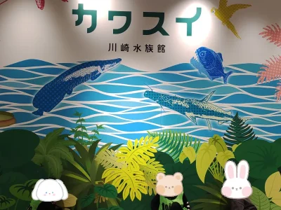 t 6 400x300 - 2月3日　＊toiroすすき野＊　カワスイ