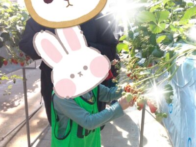 t 98 400x300 - 2月12日(月)toiro向ヶ丘遊園～いちご狩り～