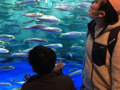 t 141 400x300 - 3月14日☆toiro川崎第二教室☆