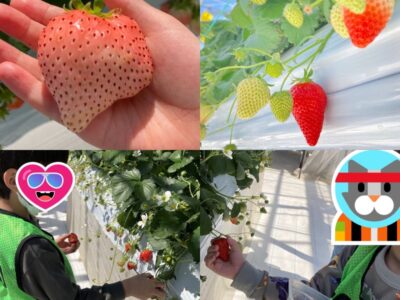 t 144 400x300 - 3月10日（日）toiro伊勢原☆いちご狩り☆