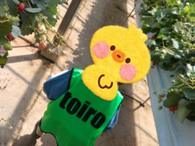 t 177 400x300 - 3月17日（日）『いちご狩り』toiro辻堂