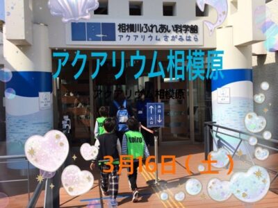 t 197 400x300 - 3月16日（土）☆アクアリウム相模原☆