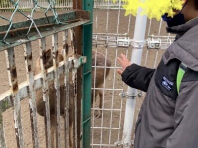 t 244 400x300 - ♪3月20日(水)♪toiro戸塚