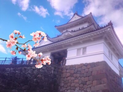 t 297 400x300 - ✴toiro小田原✴　３月21日進級イベント　小田原城へ行こう！