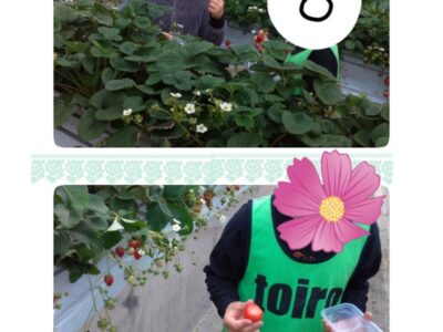 t 31 400x300 - 3月5日(火) toiro三浦海岸 ☆いちご狩り☆