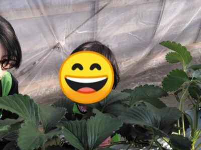 ◎2月24日(土) toiro東戸塚◎ いちご狩りに行こう t 37 400x300 - ◎2月24日(土) toiro東戸塚◎ いちご狩りに行こう