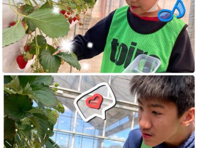 t 99 400x300 - いちご狩り へ行こう！★toiro仲町台★