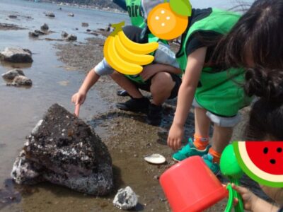 t 115 400x300 - 4月１３日(土)磯遊び　toiro逗子