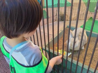 t 87 400x300 - ５月３日（土）町田リス園