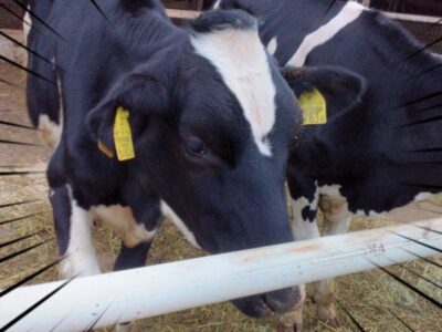 t 104 400x300 - ★toiro大庭★