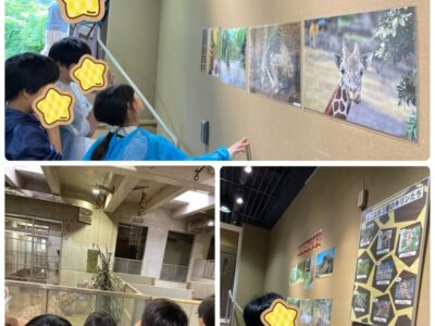 t 25 400x300 - 2024.6.6♪toiro相模原第1教室♪『お出かけイベント！ズーラシア』￼