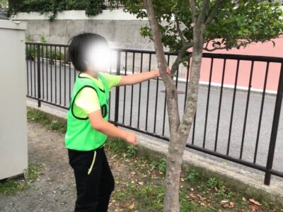 t 50 400x300 - ♪6月17日(月)♪toiro戸塚