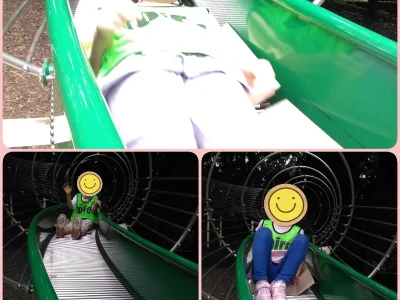 t 6 400x300 - ♪toiro白楽・第2教室♪【三ツ沢公園】2024.6.9