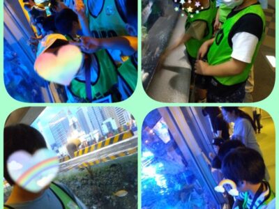 6月25日*toiro小田栄 第1教室 しながわ水族館 t 75 400x300 - 6月25日*toiro小田栄 第1教室 しながわ水族館