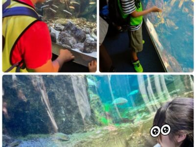 t 97 400x300 - ♪6月23日(日)♪toiro戸塚