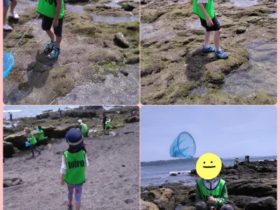 t 5 400x300 - ♪toiro白楽·第２教室♪【和田長浜海岸(磯遊び)】2024.7.7