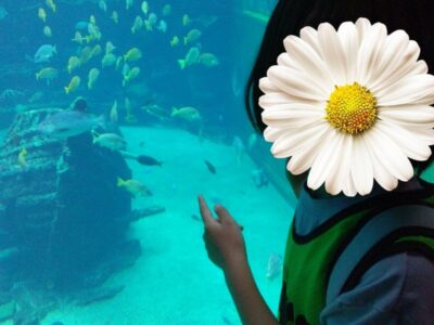 t 26 400x300 - ☆8月1日☆♨toiro湯河原♨「箱根水族館に行こう」