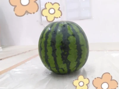 t 3 400x300 - 8月11日＊toiro小田栄　第2教室　スイカ割り