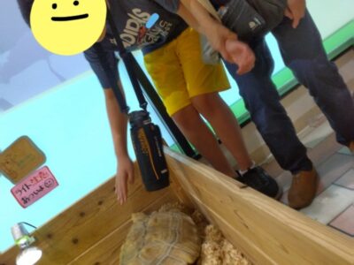 toiro二宮 7月28日(日)OSC湘南シティふれあい探索隊 t 4 400x300 - toiro二宮 7月28日(日)OSC湘南シティふれあい探索隊