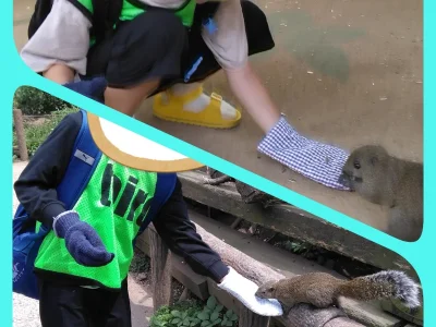 t 4 400x300 - ♪toiro白楽•第2教室♪【町田リス園】